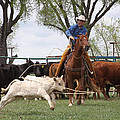 Wyoming Branding